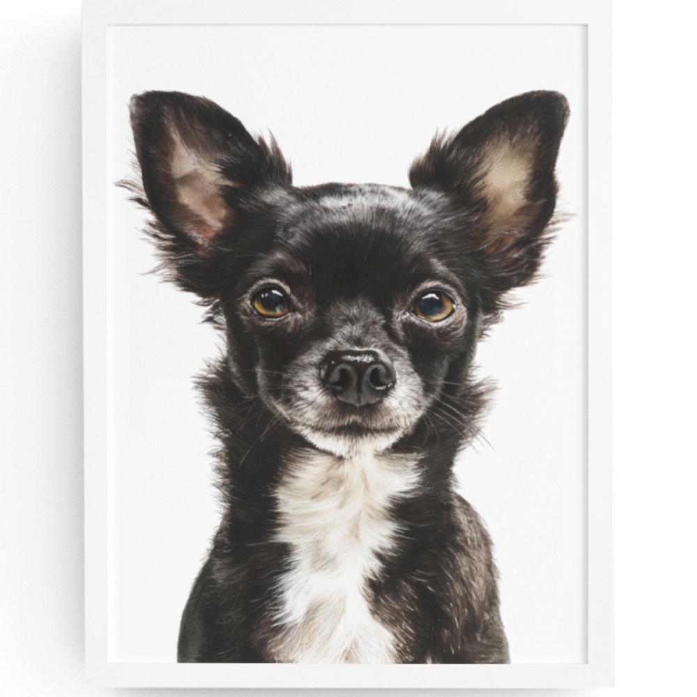 Watercolor Black Chihuahua Dog Portrait Wall Art Print Poster Unframed